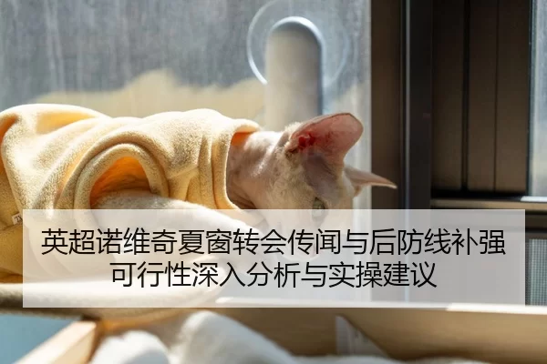英超诺维奇夏窗转会传闻与后防线补强可行性深入分析与实操建议